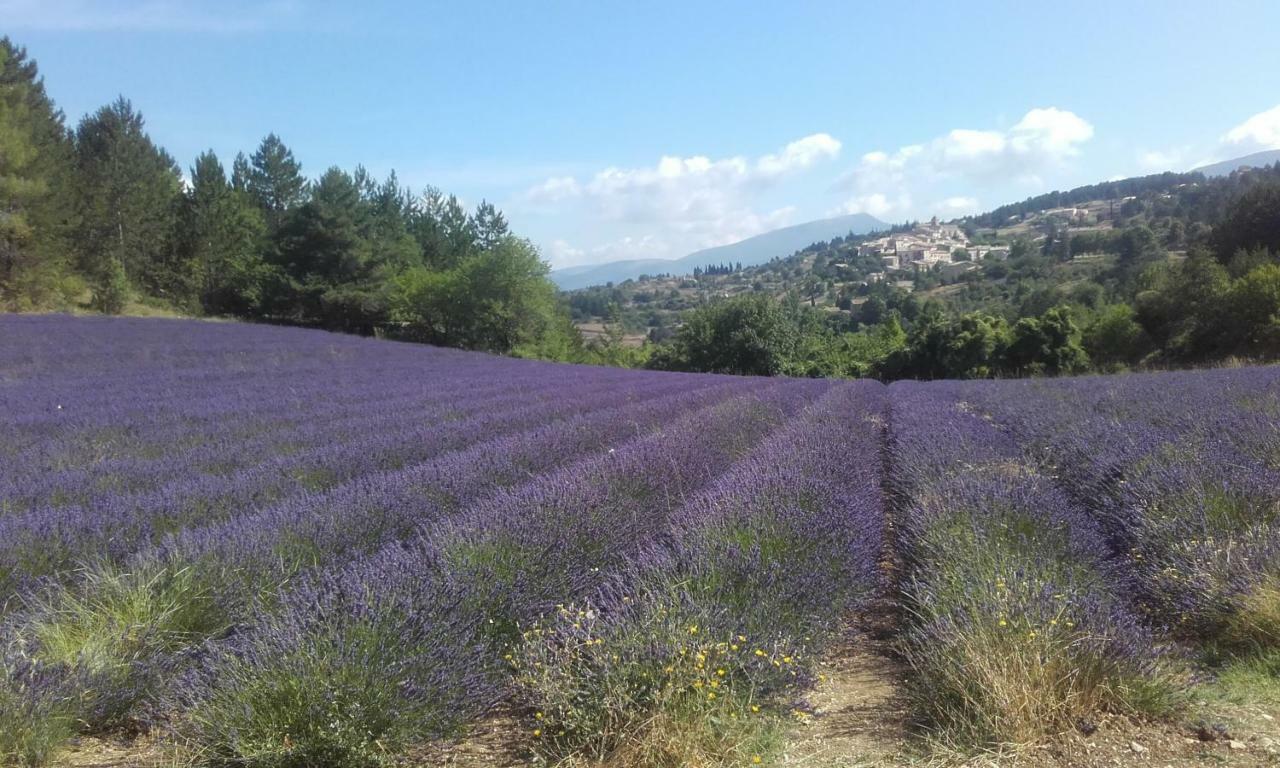 Le Petit Ventoux Hotell Malaucène Exteriör bild